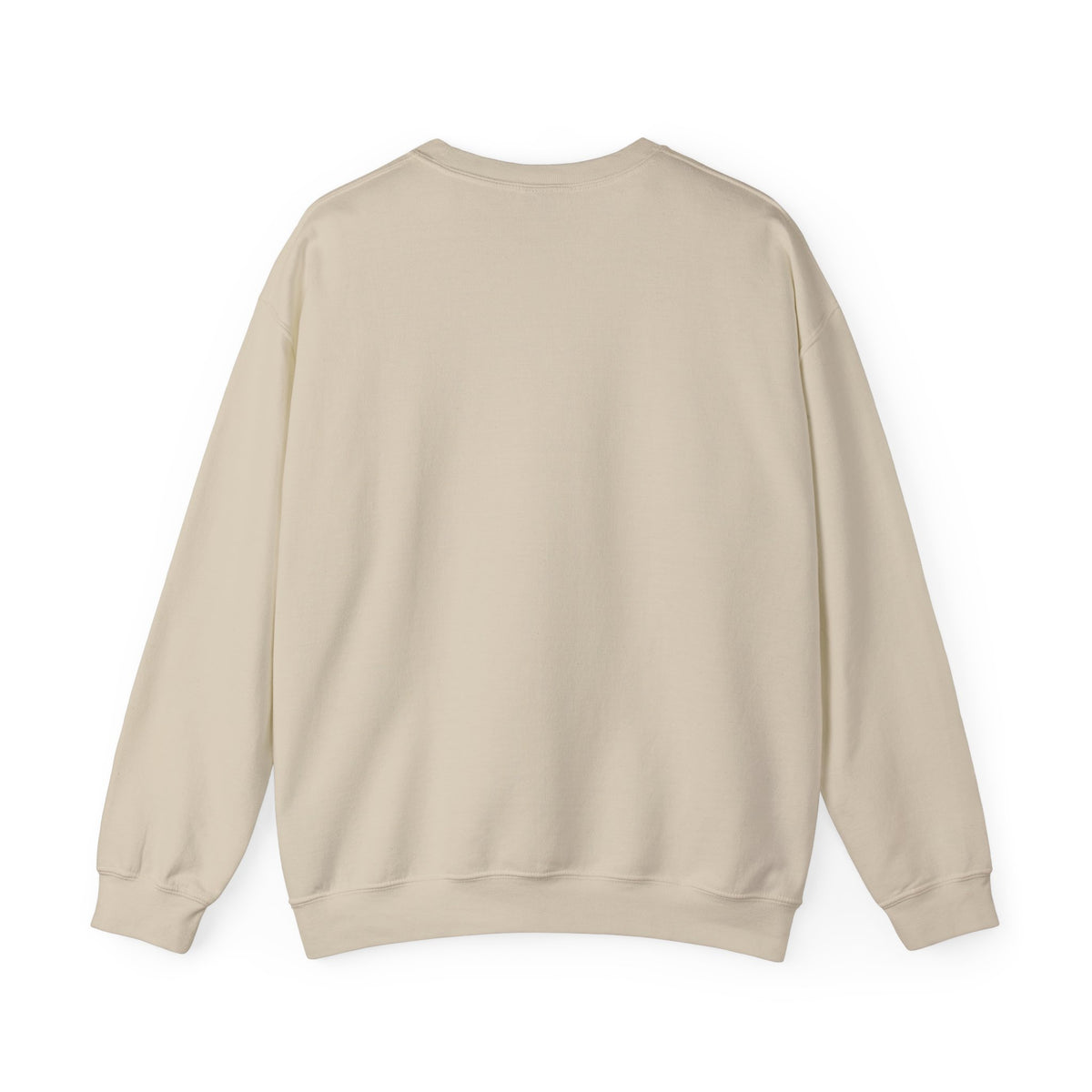 Christmas Sweatshirt — “Mary Did You Know?” Nativity Holiday Crewneck